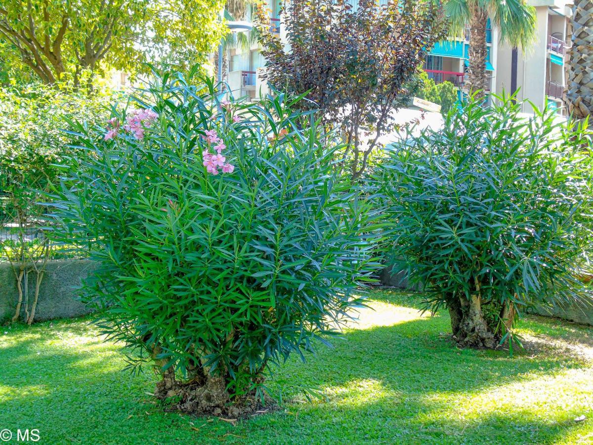 Pietra Home, Posto Auto, Ac ,Wifi, 150Mt Dal Mare Pietra Ligure Bagian luar foto